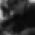 Photo de profil de Lionel Berger