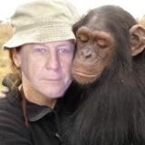 Photo de profil de Bruno Ancelin