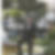 Photo de profil de Jacques Forman