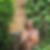 Photo de profil de Guylaine Savary