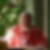 Photo de profil de Dudley Whenham