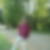 Photo de profil de Yann Allot