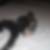 Photo de profil de Tambouchetty David