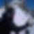 Photo de profil de Yoan Sennepin