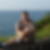 Photo de profil de Raphael Muller