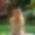 Photo de profil de Julia Bourgoin