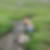 Photo de profil de Pascale Parachini