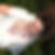 Photo de profil de Dondu Congar