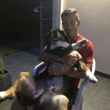Photo de profil de Antonio Pereira