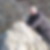 Photo de profil de Jm Tissot