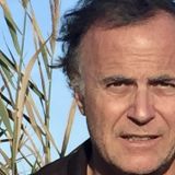 Photo de profil de Thierry Martinez