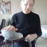 Photo de profil de Claude Foessel