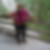 Photo de profil de Eliane Grandmaire
