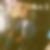 Photo de profil de Saliou Fall