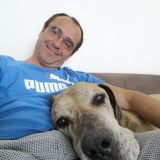 Photo de profil de Manuel Martins