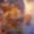 Photo de profil de Bernard Noirot