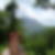 Photo de profil de Mona Auffray