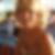 Photo de profil de Evelyne Roustan