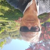 Photo de profil de Jean-Luc Morel