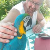 Photo de profil de Bernard Evrard