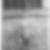 Photo de profil de Albert Brial