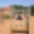 Photo de profil de Jerome Bourand