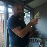 Photo de profil de Patrice Soissons