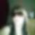 Photo de profil de Amandine Lenoble
