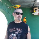 Photo de profil de Laurent Galindo