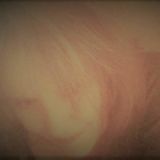 Photo de profil de Sylvie Valton