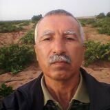 Photo de profil de Abdelmajid Chaoui