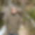 Photo de profil de Abdelmalek Haroun