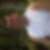 Photo de profil de Frankar Pascal