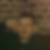 Photo de profil de Johnny Vermeulen