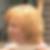 Photo de profil de Sabina Zapalska