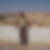Photo de profil de Nesr Eddine Belhadj