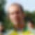 Photo de profil de David Klein