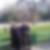 Photo de profil de Zoubida Tighrine