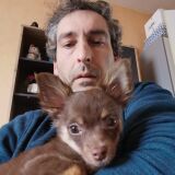 Photo de profil de Jean Philippe Bon