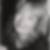 Photo de profil de Elisabeth Heyd