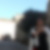 Photo de profil de Patricia Thollon