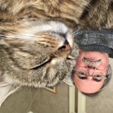Photo de profil de François Henry