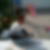 Photo de profil de Maryon Mespoules