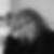 Photo de profil de Elisabeth Plusquellec