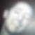 Photo de profil de Umberto Palmieri