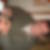Photo de profil de Michel Auclair