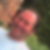 Photo de profil de Pierre Aubert