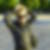 Photo de profil de Christie Descamps