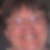 Photo de profil de Patricia Charbonel