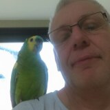 Photo de profil de Pascal Nicloux